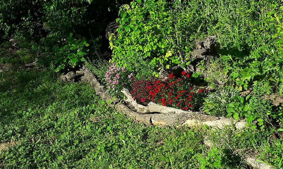 Cuánto cuesta alquilar un huerto urbano por meses en Madrid y Fuenlabrada