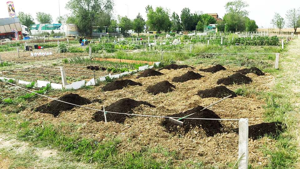 Huertos urbanos en alquiler para cultivar con servicio de mantenimiento en Madrid y Leganés