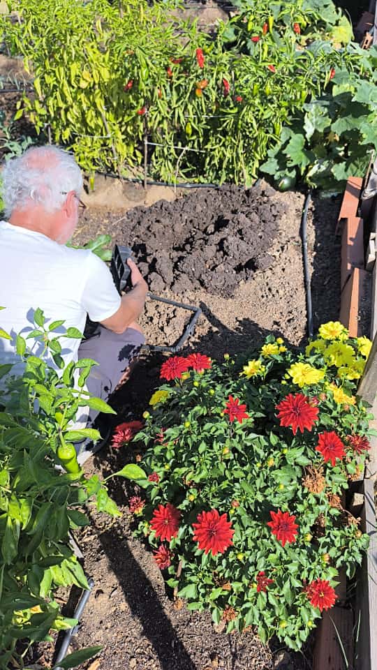 ¿Cuánto cuesta alquilar un huerto urbano por meses en Madrid y Fuenlabrada?